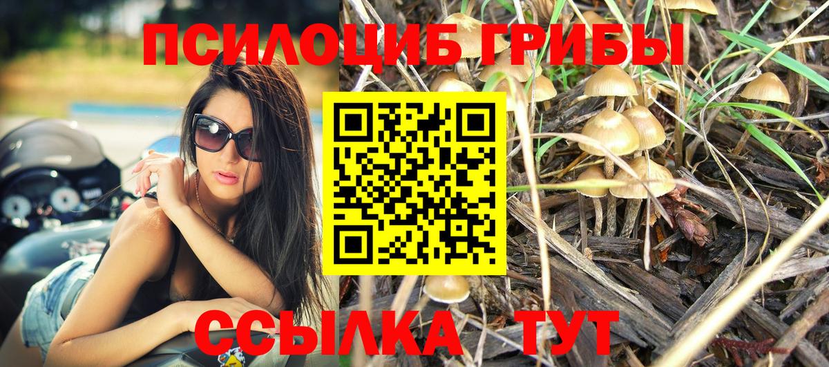 Королёв  Галлюциногенные грибы Magic Shrooms  Вход с VPN  закладка  Псилоцибиновые грибы мицелий 